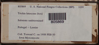 Image Associated With the Occurence